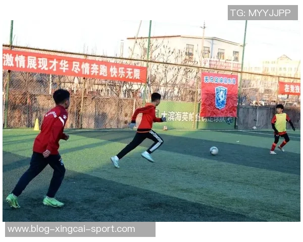 足球馆长的传奇故事与足球文化的传承之路